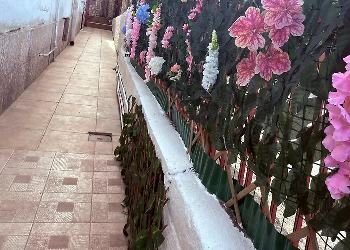 Diamond * נאפולי